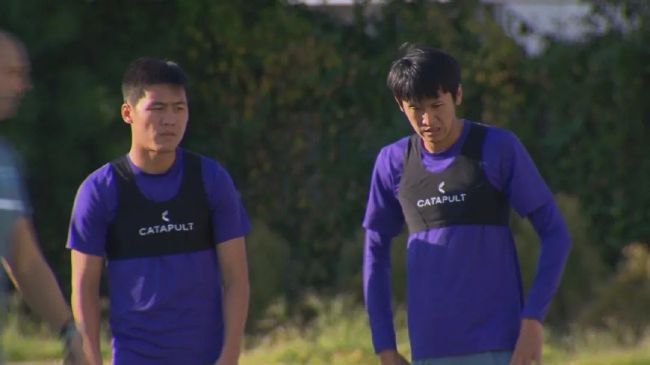 一本岛在免费一二三区